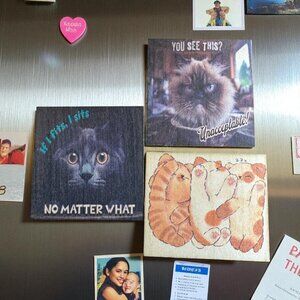 Funny Cat Wall Art Prints, Set of3 - 3*3inc Kitten Designs, Decorative Home Magn
